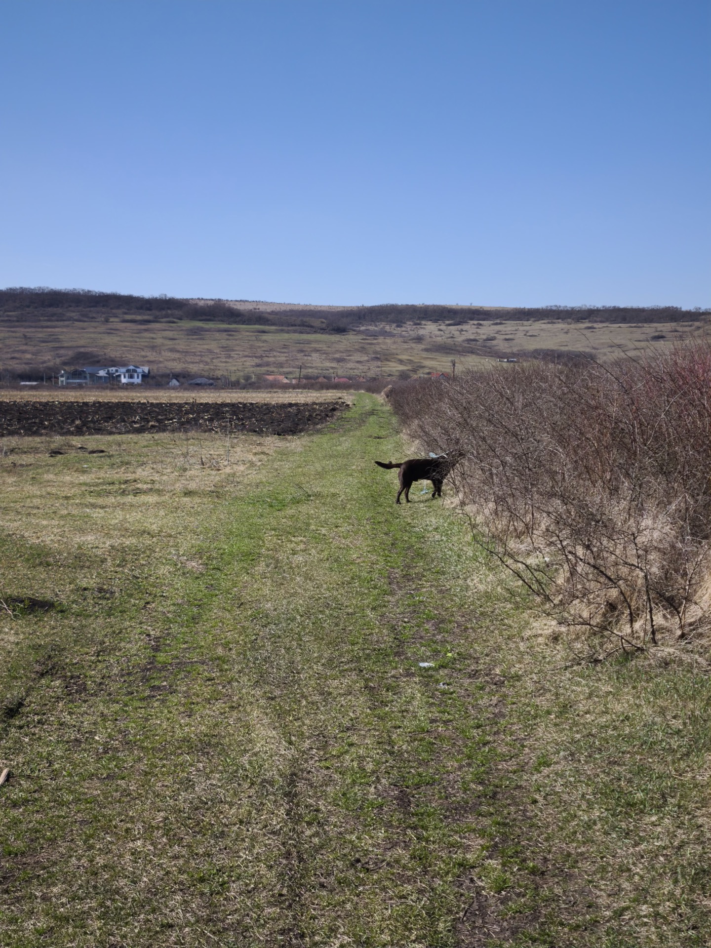 Ghid Detaliat: Camerele Foto ale Xiaomi 14T Pro