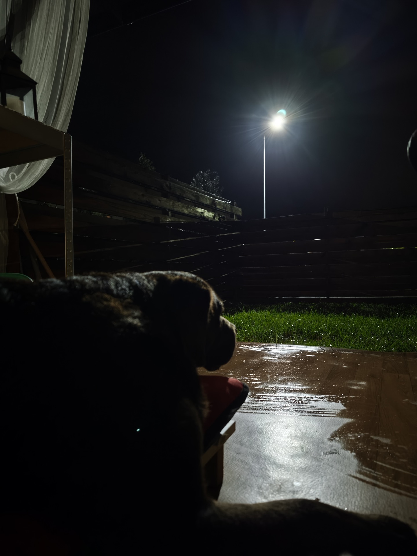 Ghid Detaliat: Camerele Foto ale Xiaomi 14T Pro