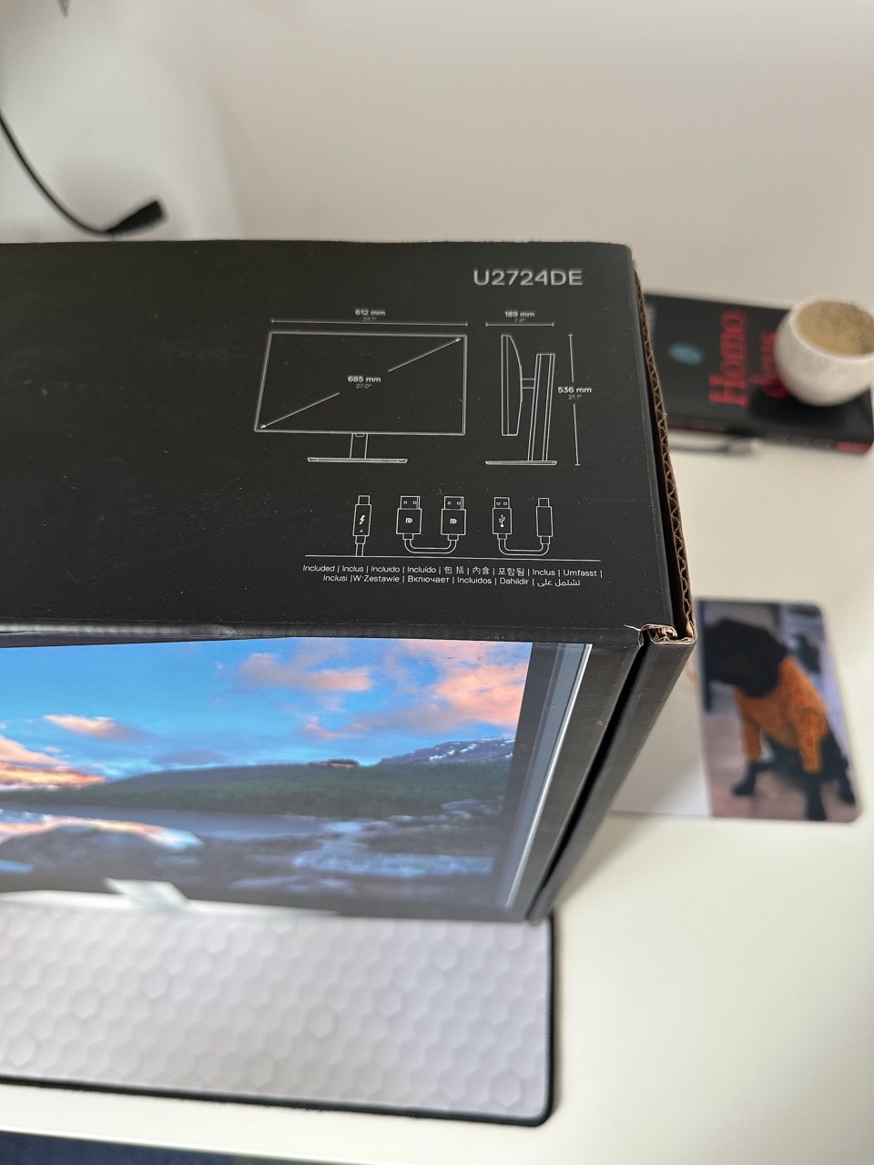 Update Monitor Saga: Am trecut la Dell U2724DE