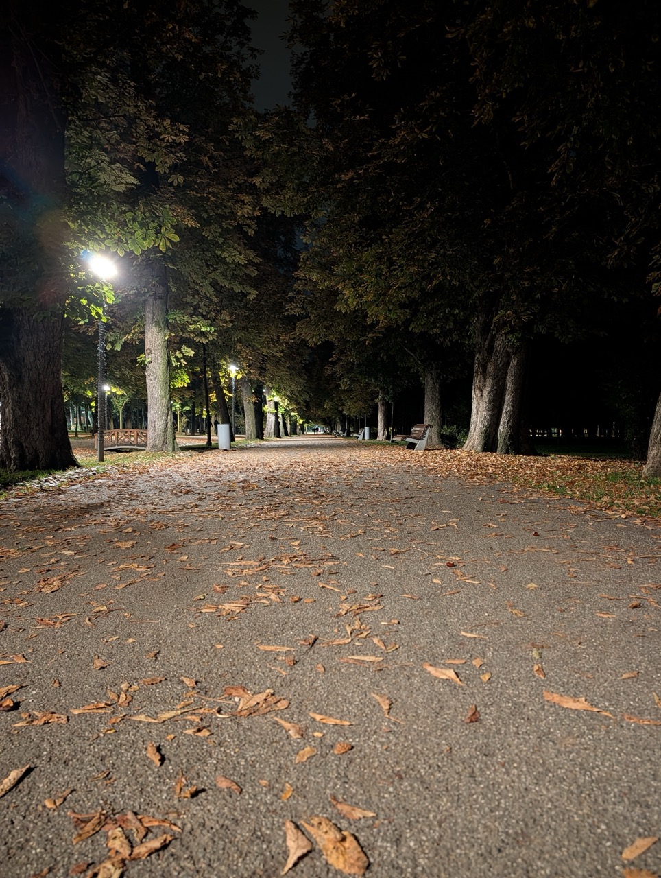 Recenzie Cameră Google Pixel 10 Pro XL: Magie Computațională? Mostre Foto Reale